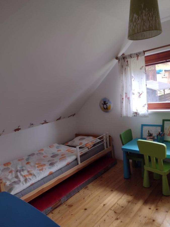 Chata Dvirka Zelezny Brod Eksteriør billede